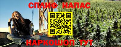бошки Можга
