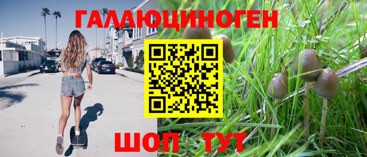 Галлюциногенные грибы мицелий Топки