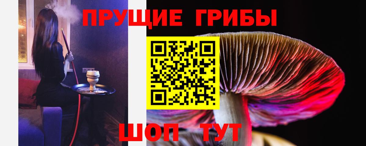 Топки  Псилоцибиновые грибы GOLDEN TEACHER  Вход с VPN  Псилоцибиновые грибы Psilocybine cubensis 