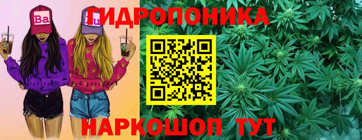 Топки  Марихуана марихуана  Вход с VPN  Марихуана планчик 